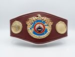 Mini WBO Championship Belt Replica 30 Inch Boxing Title Belt Gold Plated Award