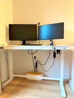 FlexiSpot Electric Standing Desk 120 × 60 cm – White Height Adjustable Desk with