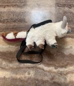 Avatar Appa Chalk Bag | Rock climbing chalk bag | Bouldering Chalk Bag