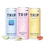 Mixed Pack Sparkling Drink with 120MG calming Magnesium Lion’s Mane Chamomile