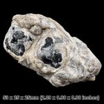 Apache Tear Obsidian in Perlite Natural Volcanic Glass Specimen Arizona USA