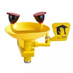Eyewash Shower Station kit Emergency Eye Wash Faucet Mount Safety Stainless