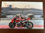 PEDRO ACOSTA HAND SIGNED 12X8 PHOTO 2024 TECH 3 RED BULL GASGAS KTM MOTOGP
