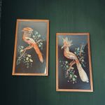 Vintage Mexican Feather Art Birds Pair Framed Mid Century MCM Folk Art