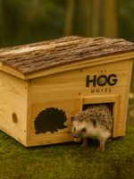 Wooden Hedgehog House Home Garden Animal Shelter