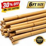 6ft Heavy Duty Bamboo Garden Canes – Strong Plant Support Sticks (10mm Thick)