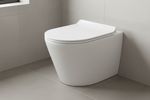 Rimless Back to Wall Toilet Pan Round BTW WC Soft Close Seat Short Projection