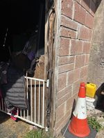 Brown Running Martingale Full Size Horses