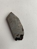 Palasite Meteorite Rare 38g