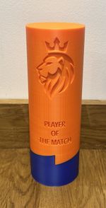 Football Trophy - Player Of The Match (Logo/ Colours & Team Name Options) 