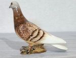 Beswick Rare 3 Striped Racing Pigeon in Brown Gloss by Mr Orwell No. 1383