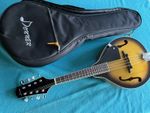 Mandolin With Gig Bag 