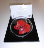 Table Top Tower Of London Poppy Display Case - Unique Dome Design