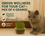 Cat grass kit x2 & x4 containers - Easy Grow your own kit