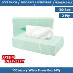 Extra Soft White Tissue Facial Tissue Boxed Tissue 100 per Box 2-Ply