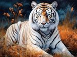 White Tiger at Rest, 5D Diamond Painting Kit for Adults,Gem Crystal Art Kits Ful