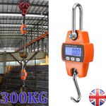 300kg Mini Crane Scale Portable LCD Digital Electronic Hook Hanging Weight Tool