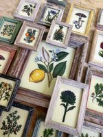 Botanical Reverse Glass Paintings