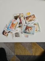 Cats Thematic Postage Stamps Used All Different 30 Worldwide Selection