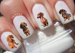 Dachshund Nail Art Stickers Transfers Decals Set of 47 - A1298