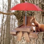 Wood Squirrel Feeder Wooden Picnic Table Feeder for Outside