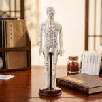 TCM Training Model Detailed Engraving Meridian Chart Mannequin