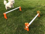 Set of 2 dog agility jumps - Orange (PETG v2)