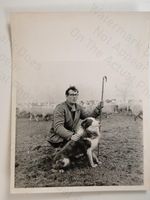 Shepherd His Border Collie Sheepdog Flock Sheep Crook Rural 1966 TV Times Photo