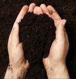 Multi-Purpose Compost Soil Bag Organic Soil Nutrient 20, 40, 50, 80, 100, 160L