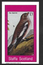 Staffa Scotland, 1983, £1, Tree Sparrow, Bird, MNH Imperf M/S Sheet #M1608