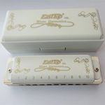 EASTTOP 10Hole Mouth Organ Diatonic Blues Harmonica Diatonic Harp Harmonica Gift