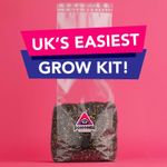 Inject & Forget All In One Mushroom Grow Kit - Works Like Magic!