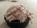 Barristers Wig - Stanley Ley 