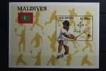Maldives Block 144 with 1311 MNH #UP323