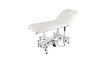 Electric Massage Bed Facial Beauty Salon Spa Tattoo Table Couch Chair Recliner
