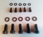 Black Stainless Twin Cam Custom Derby & Timing Cover screws H-D. 1999 to 2017.