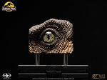 Elite Creature Collectibles - Velociraptor eye Replica - Stunning piece