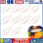 10 Packs Long Cuttlebone Cuttlefish Bone Bird Fish Chew Calcium Food UK