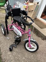 Thera Play Disability Trike
