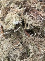 60kg £3.75p/kg fresh sphagnum moss packed fresh within 24hrs moist natural mix