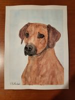 rhodesian ridgeback original watercolour painting /Art