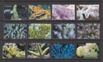 Tuvalu: Corals, definitives used set, 2006 issue