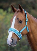 SHIRES LUNGE CAVESSON  FLEECE LINED COMFORT PONY Size Adjustable Fit PASTEL BLUE