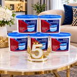 Long-Lasting Home Dehumidifier Moisture Absorber – Damp, Mould & Condensation...