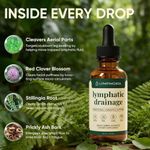 UK Lymphatic Drainage Drops 59ml - Detox,Bloat Relief & Immune Support 2026