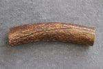 REAL RED DEER ANTLER PIECE / SECTION / PART FOR A KNIFE HANDLE OR DOG CHEW