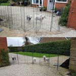 Foldable Dog Fence Barrier Expanding Garden Fencing - Various Lengths