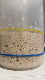 Fresh Rye Mature Sourdough Starter for All Sourdough Breads Pizzas