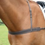 Shires Velociti Gara Elastic Breastgirth | Black or Havana | 1 Size