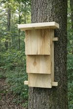 Bat Box - Wooden - Rustic Kent Style - Conservation - Observation - Nature